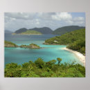 Pesquisar por st john pósteres Tropical