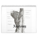 Pesquisar por esqueleto calendarios Anatomia