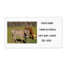 Pesquisar por de transporte etiquetas Remessa