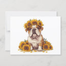 Pesquisar por crown cartoes postais Cãozinho