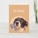 Pesquisar por arrependido cartoes postais Apologia