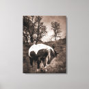 Pesquisar por cavalo pinturas impressão de canvas Selvagem