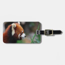 Pesquisar por urso panda bagagem tags Porcelana