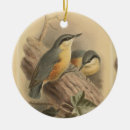 Pesquisar por ilustração ornamentos Natureza