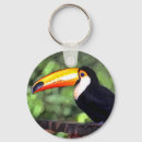 Pesquisar por pássaros toucan chaveiros Animal