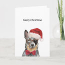 Pesquisar por heeler cartoes Cão australiano