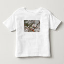 Pesquisar por rolf camisetas Parque nacional