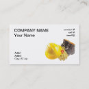 Pesquisar por botões padrao cartao de visita Segurança