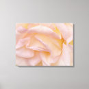 Pesquisar por pétalas impressão de canvas Rosa