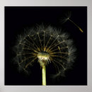 Pesquisar por ervas daninhas pôsteres pósteres Gramado