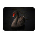 Pesquisar por cygnus casa presentes Swan