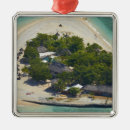 Pesquisar por fiji ornamentos Coral