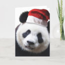 Pesquisar por papai noel panda cartoes postais Xmas