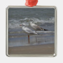 Pesquisar por gaivotas ornamentos Água