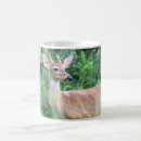 Pesquisar por cervos de whitetail Antler