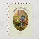 Pesquisar por came cartoes Qualquer pessoa