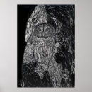 Pesquisar por preto e branco da coruja pôsteres pósteres Vida selvagem