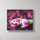 Pesquisar por arte monocromática impressão de canvas Tulipas
