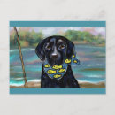Pesquisar por labrador retriever preto cartoes postais Labs
