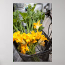 Pesquisar por bicicleta com das flores pôsteres pósteres Qualquer pessoa