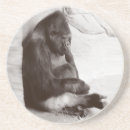 Pesquisar por gorila porta copos Primata