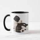 Pesquisar por great dane canecas Filhote de cachorro
