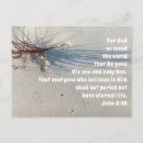 Pesquisar por vida eterna cartoes Escritura