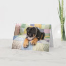 Pesquisar por furado horizontal cartoes Fofo