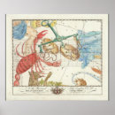 Pesquisar por do cancer pôsteres pósteres Zodíaco