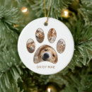 Pesquisar por pegada ornamentos Para pets