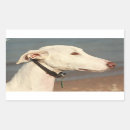 Pesquisar por galgo adesivos Greyhound