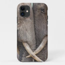 Pesquisar por universal iphone capas Mal