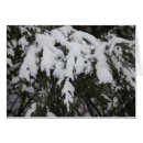 Pesquisar por abeto vermelho cartoes postais Natureza