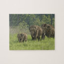 Pesquisar por elefante indiano quebra cabecas Parque nacional corbett