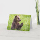 Pesquisar por da pata urso cartoes Fofofo