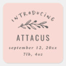 Pesquisar por ramos adesivos Para ela