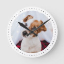 Pesquisar por dogs relogios de parede Para todos