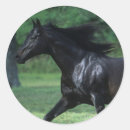 Pesquisar por puro sangue adesivos Equestre