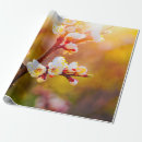 Pesquisar por flores japonesas papel de presente Para todos