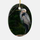 Pesquisar por garça real ornamentos Animais selvagens