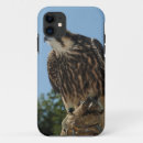 Pesquisar por falcão capas Peregrino
