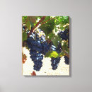 Pesquisar por uva impressão de canvas Uvas roxas