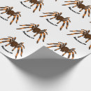 Pesquisar por aranha papel de presente Qualquer crinaça