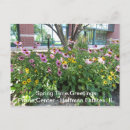 Pesquisar por estante cartoes postais Flores