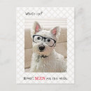 Pesquisar por cão westie cartoes postais Engraçado