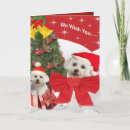 Pesquisar por maltese puppy cartoes Xmas