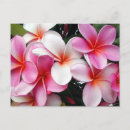 Pesquisar por flores havaianas cartoes postais Convidados