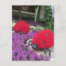 Pesquisar por filhos g cartoes Aniversário