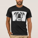 Pesquisar por pitbull roupas Bonito