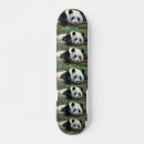 Pesquisar por urso panda skates Animais